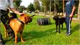 Klub kepek 2014- 0793